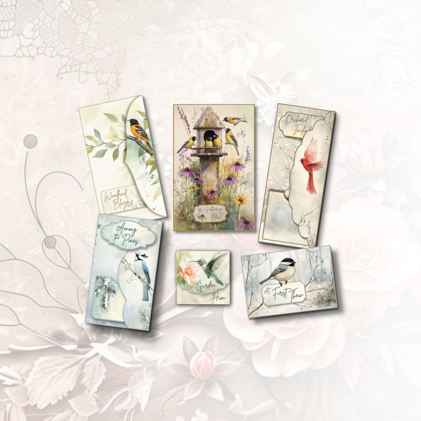 Feathered Visitors Folio Collection