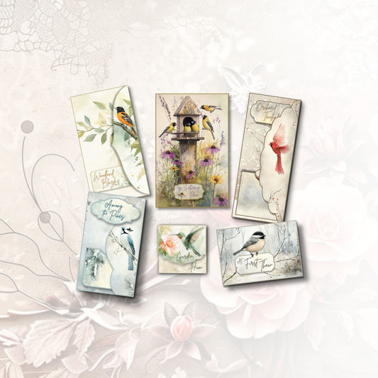 Feathered Visitors Folio Collection