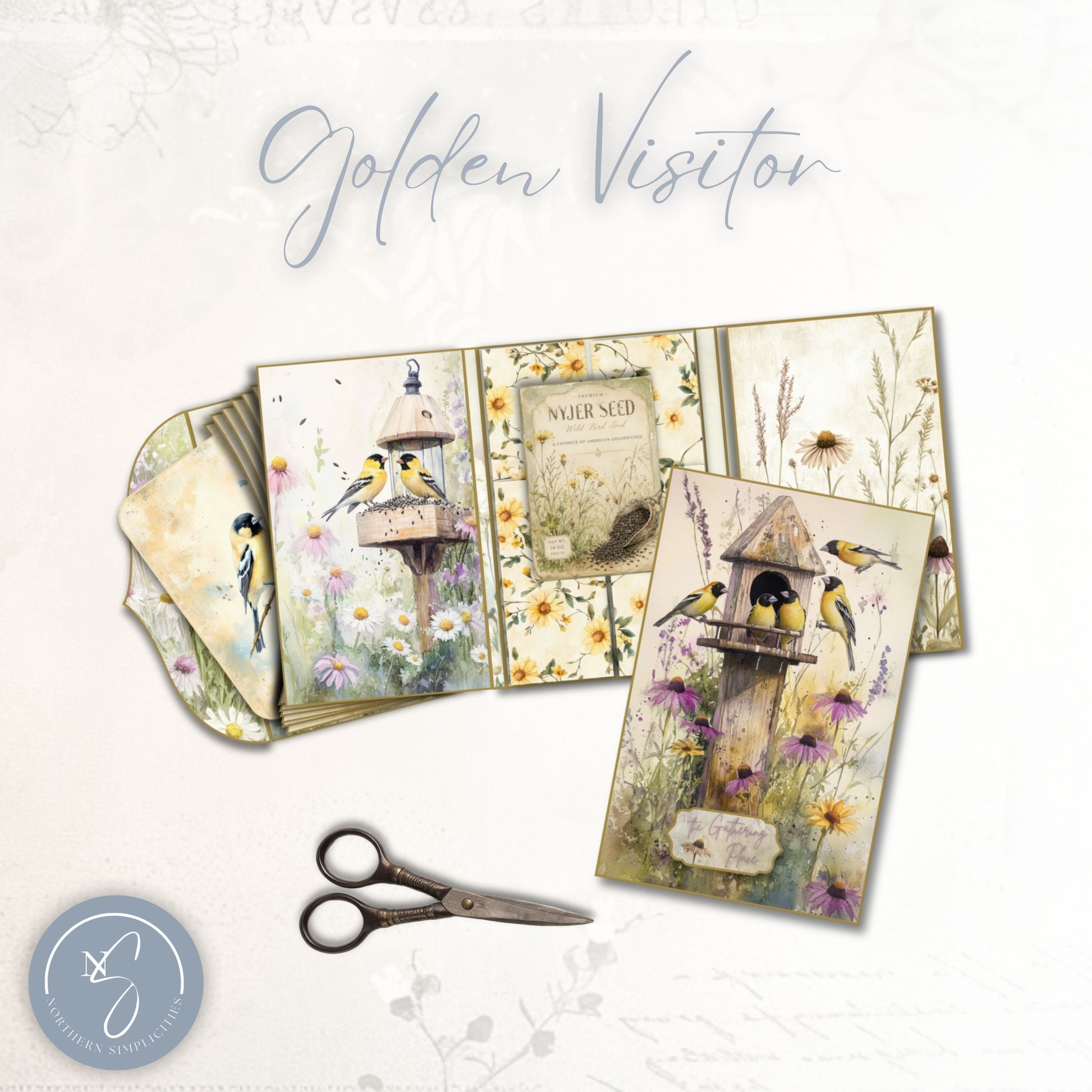 Feathered Visitors Folio Collection