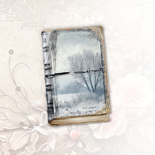 Frosted Elegance Journal Cover