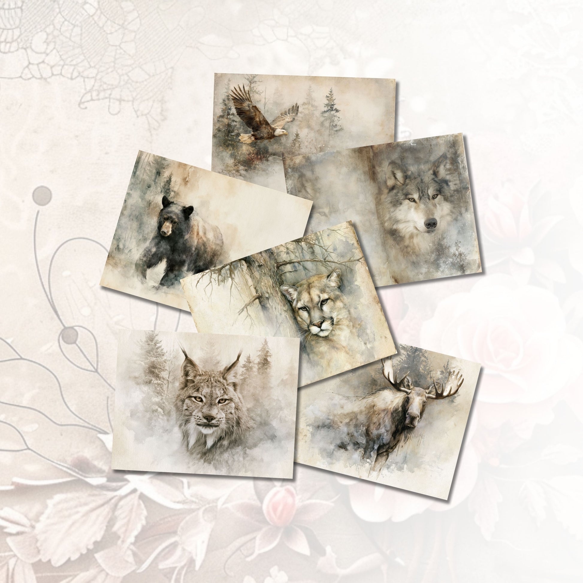 Northern Wilds Collection