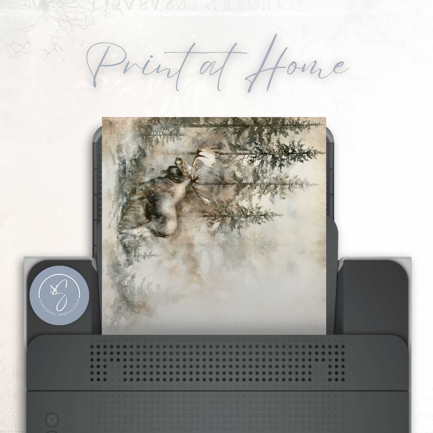 Northern Stillness Journal Papers