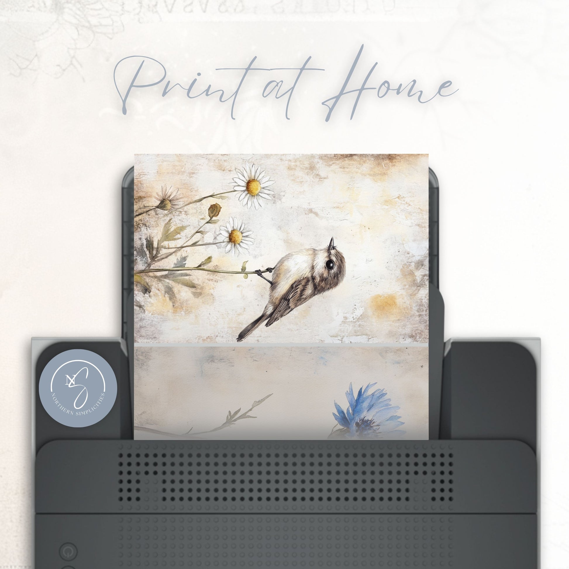 Wandering Meadow Journal Papers