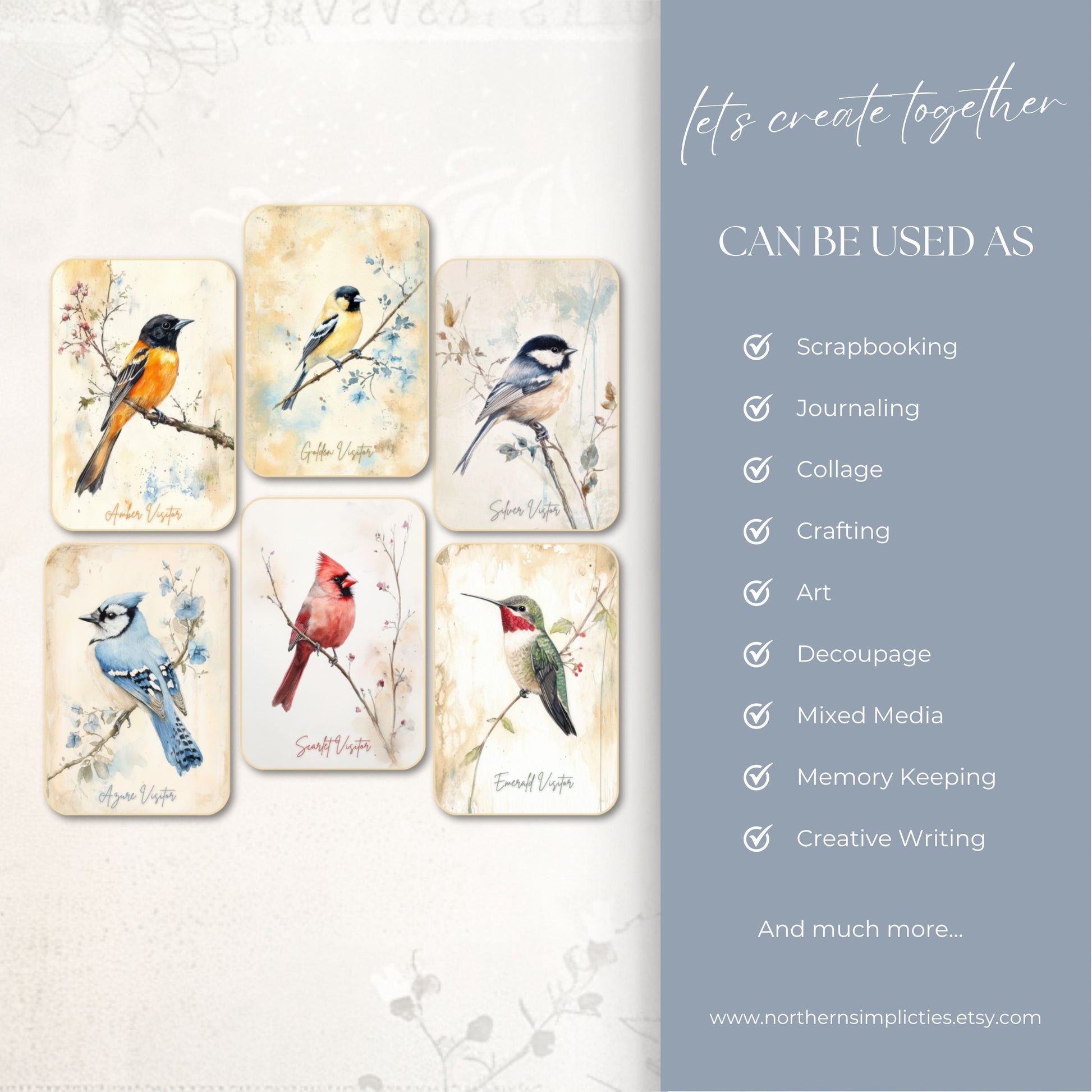 Feathered Visitors Folio Collection