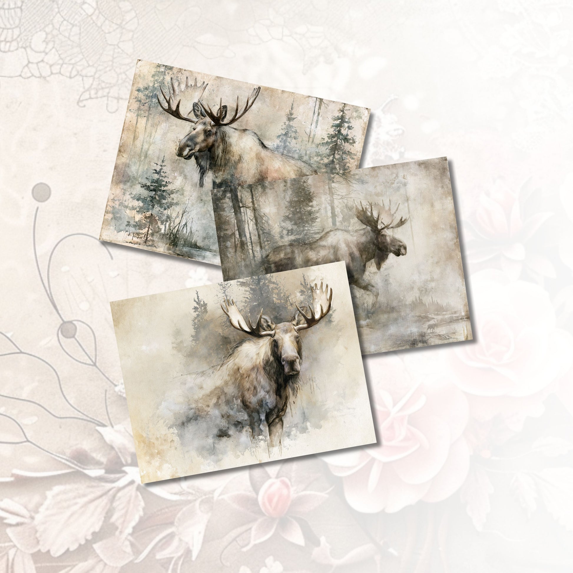 Northern Stillness Journal Papers